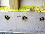 Haltepunkt_Beleuchtung_18