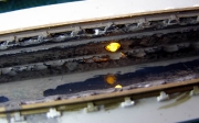 Gruben_Lichttest